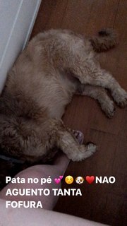 Dani Calabresa feet photo 8