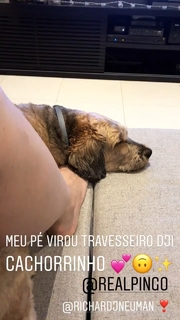 Dani Calabresa feet photo 14