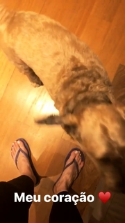 Dani Calabresa feet photo 11