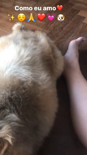 Dani Calabresa feet photo 10