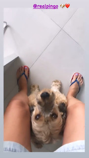 Dani Calabresa feet photo 9