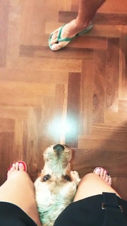 Dani Calabresa feet photo 7