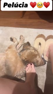 Dani Calabresa feet photo 4
