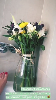 Dani Castro feet photo 10
