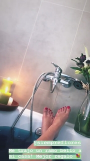 Dani Castro feet photo 9