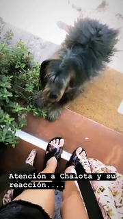 Dani Castro feet photo 13