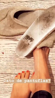 Dani Castro feet photo 16