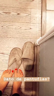Dani Castro feet photo 12