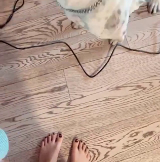 Dani Castro feet photo 4