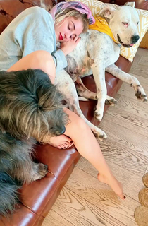 Dani Castro feet photo 1
