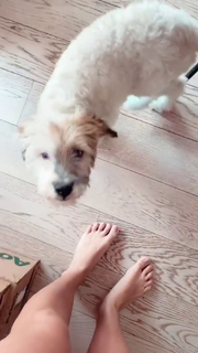 Dani Castro feet photo 18