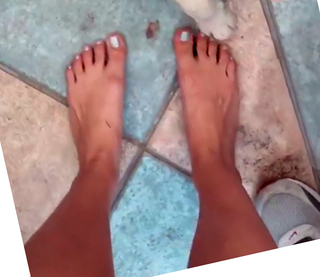 Dani Castro feet photo 6