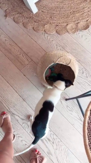 Dani Castro feet photo 2