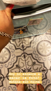 Dani Castro feet photo 19