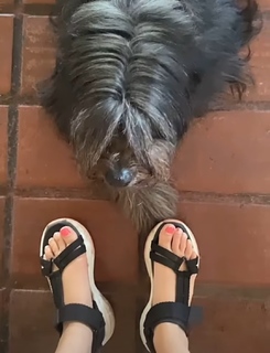 Dani Castro feet photo 2