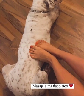Dani Castro feet photo 18