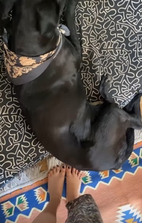 Dani Castro feet photo 6