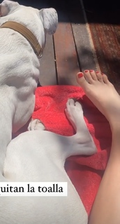 Dani Castro feet photo 9