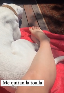 Dani Castro feet photo 8