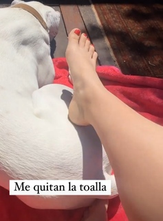 Dani Castro feet photo 7
