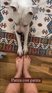 Dani Castro feet photo 17