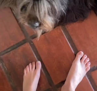 Dani Castro feet photo 7