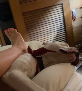 Dani Castro feet photo 16