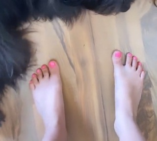 Dani Castro feet photo 14