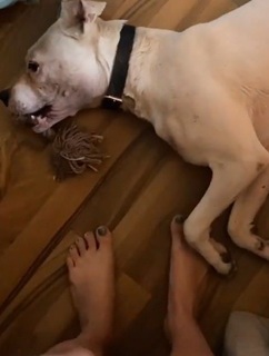 Dani Castro feet photo 4