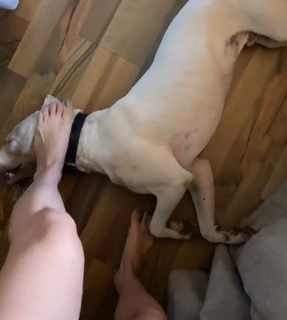 Dani Castro feet photo 3