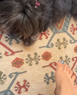 Dani Castro feet photo 19