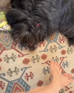 Dani Castro feet photo 17