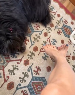 Dani Castro feet photo 15