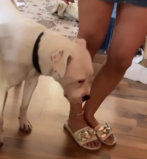 Dani Castro feet photo 8