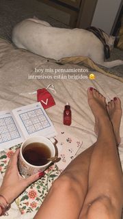 Dani Castro feet photo 7