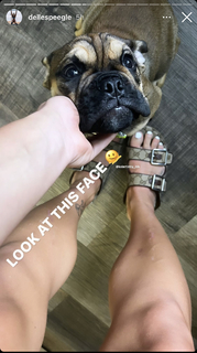 Dani Speegle feet photo 5