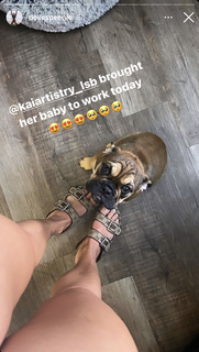 Dani Speegle feet photo 4