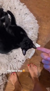 Dani Speegle feet photo 8