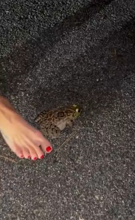 Dani Speegle feet photo 3