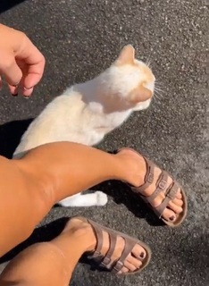 Dani Speegle feet photo 1