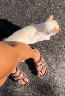 Dani Speegle feet photo 20