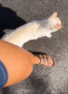Dani Speegle feet photo 19