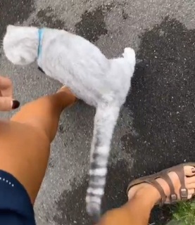 Dani Speegle feet photo 18