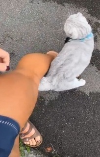 Dani Speegle feet photo 17