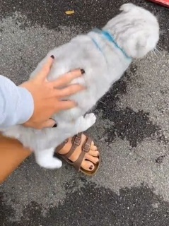 Dani Speegle feet photo 16