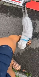 Dani Speegle feet photo 14