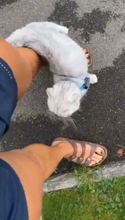 Dani Speegle feet photo 13