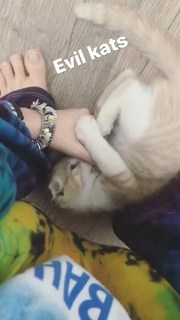 Dani Thorne feet photo thumbnail