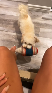 DaniLeigh feet photo 8