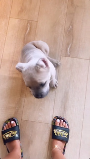 DaniLeigh feet photo 8
